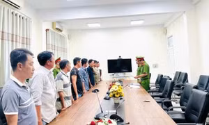 Khởi tố 8 đối tượng liên quan vụ đá gà ăn thua bằng tiền tại tỉnh Vĩnh Long