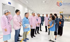 Khảo sát công tác an toàn lao động tại các doanh nghiệp