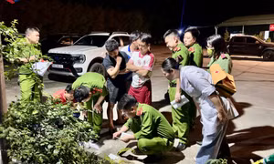Kiên quyết triệt xóa các ổ nhóm tội phạm ma túy