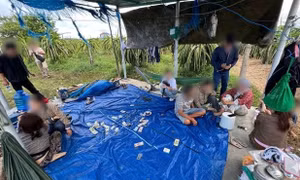 Công an đột kích sới bạc giữa vườn thanh long, tạm giữ 7 người