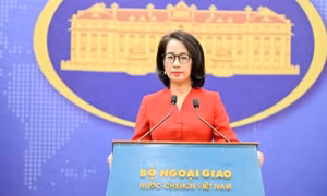Đề nghị Hoa Kỳ đánh giá khách quan, cân bằng về nỗ lực và thành quả của Việt Nam trong bảo hộ quyền sở hữu trí tuệ