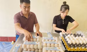 Để kinh tế tập thể “sống khỏe”