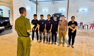12 giờ bóc gỡ đường dây mua bán thiếu nữ 14 tuổi, ép phục vụ quán karaoke