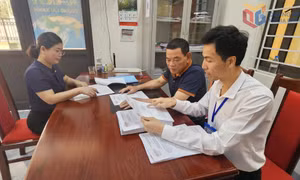 Nhân dân đồng thuận cao với Đề án thành lập thành phố Quảng Ninh