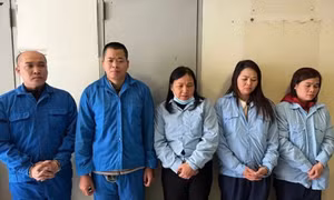 Nhận hối lộ cấp phép hành nghề y, dược, nhóm cựu cán bộ hầu tòa
