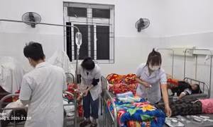 Lai Châu: Hơn 200 học sinh nghi ngộ độc do ăn quả lạ 