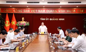 Hội nghị Ban Thường vụ Tỉnh ủy