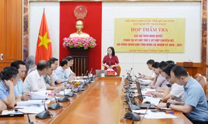  Ban Kinh tế - Ngân sách HĐND tỉnh thẩm tra các dự thảo nghị quyết 