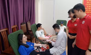 Phường Cao Xanh tổ chức chương trình hiến máu tình nguyện hè 2026
