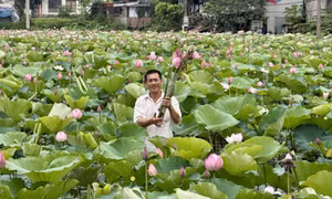 Đồng hành cùng hội viên phát triển kinh tế