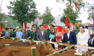 Nhịp cầu hữu nghị từ mô hình "Kết nghĩa cụm dân cư hai bên biên giới"