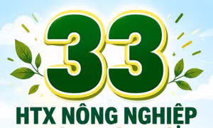 33 - là số HTX nông nghiệp thành lập mới trên toàn tỉnh từ đầu năm đến nay