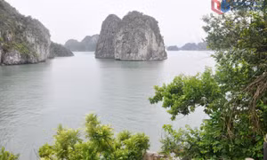 Sức hút tour xuyên vùng di sản vịnh Hạ Long - Lan Hạ