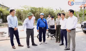 Sắp xếp bộ máy tổ chức chính trị tinh gọn, hiệu quả