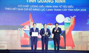 Quảng Ninh là địa phương duy nhất nằm trong nhóm dẫn đầu cả 2 chỉ số: PCI và BPI năm 2025