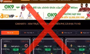 Đang chuẩn bị xâm phạm bản quyền World Cup 2026 thì bị phát hiện