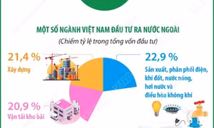 4 tháng năm 2026: Đầu tư của Việt Nam ra nước ngoài đạt 713,9 triệu USD