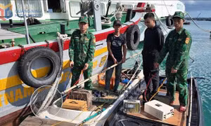 Đồn Biên phòng Cô Tô: Đồng hành cùng ngư dân bám biển