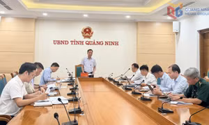 UBND tỉnh nghe báo cáo kết quả giải quyết kiến nghị của cử tri