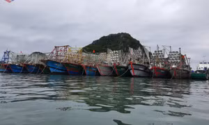 Giảm tàu cá nhỏ, hướng tới khai thác thủy sản bền vững