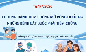 Những bệnh bắt buộc phải tiêm chủng trong Chương trình tiêm chủng mở rộng Quốc gia