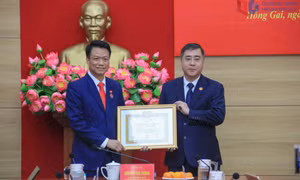Đảng ủy MTTQ Việt Nam tỉnh trao huy hiệu 30 năm tuổi Đảng