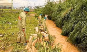 Bé gái 13 tuổi ở Đà Lạt bị nước lũ cuốn trôi, hàng chục người tìm kiếm