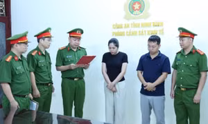 Dàn xếp kết quả đấu giá 14 lô đất, 2 bị can bị khởi tố ở Ninh Bình