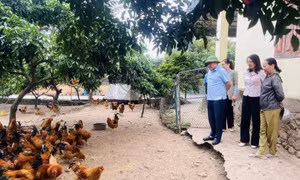 Nhân lên những hành động vì an toàn thực phẩm