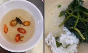 Vụ bữa ăn tập thể của sinh viên Đại học Huế nghi có gián, dòi và sâu: Cơ sở nấu ăn xin lỗi