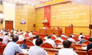 Hội nghị Ban Chấp hành Đảng bộ tỉnh lần thứ 31