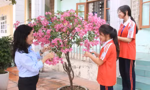 Tổng phụ trách đội năng động, sáng tạo