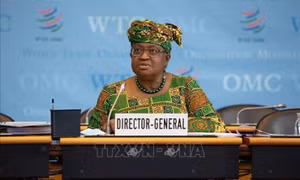 WTO cảnh báo nhiều nền kinh tế lớn có nguy cơ rơi vào suy thoái