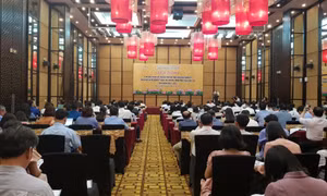 Đẩy nhanh thực hiện giáo dục nghề nghiệp trong Chương trình mục tiêu quốc gia