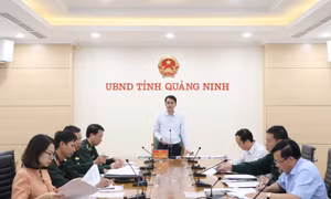 UBND tỉnh cho ý kiến về Đề án về thành lập khu sinh cảnh và phát triển rừng phòng hộ