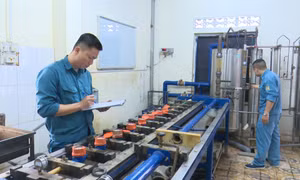 Đổi mới ở QUAWACO