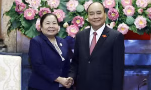Củng cố và tăng cường quan hệ đoàn kết đặc biệt Việt Nam-Lào