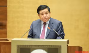 Nâng cao tính cạnh tranh, minh bạch, hiệu quả kinh tế trong hoạt động đấu thầu