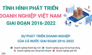 Tình hình phát triển doanh nghiệp Việt Nam giai đoạn 2016-2022
