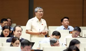 Đại biểu Quốc hội: Kịp thời xử lý các vi phạm ở lĩnh vực chứng khoán