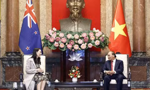 Thúc đẩy hợp tác Việt Nam-New Zealand trong tình hình mới