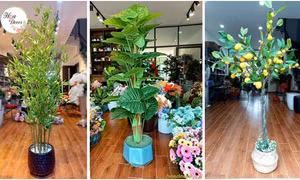 Hoa Decor chuyên cung cấp hoa bục tượng Bác, cây cảnh giả toàn quốc