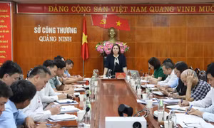 Đảm bảo hoạt động kinh doanh xăng dầu trên địa bàn tỉnh những tháng cuối năm