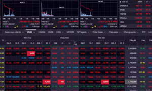 Cổ phiếu lại bị bán tháo, VN-Index giảm gần 30 điểm, về gần mốc 900