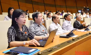 Thông cáo báo chí số 19 Kỳ họp thứ 4, Quốc hội khóa XV