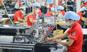 “Trái ngọt” từ EVFTA