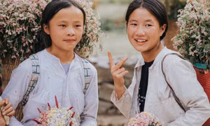 Mê mải ngắm nụ cười Hà Giang trên cánh đồng tam giác mạch ngày cuối thu