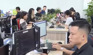 Xu hướng tuyển dụng không dựa vào điểm số