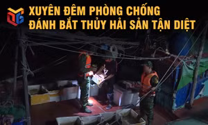 Bộ đội biên phòng xuyên đêm phòng chống đánh bắt thủy sản tận diệt