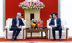 Chủ tịch UBND tỉnh tiếp và làm việc với Đoàn Vụ trưởng, Bộ Ngoại giao Bỉ và Đại sứ Vương quốc Bỉ tại Việt Nam